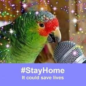 Meet your Posher, Sue